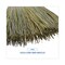 Boardwalk Warehouse Broom, Yucca Corn Fiber Bristles, 56" Length, Natural, PK12 BWK932YCT - alternate 3